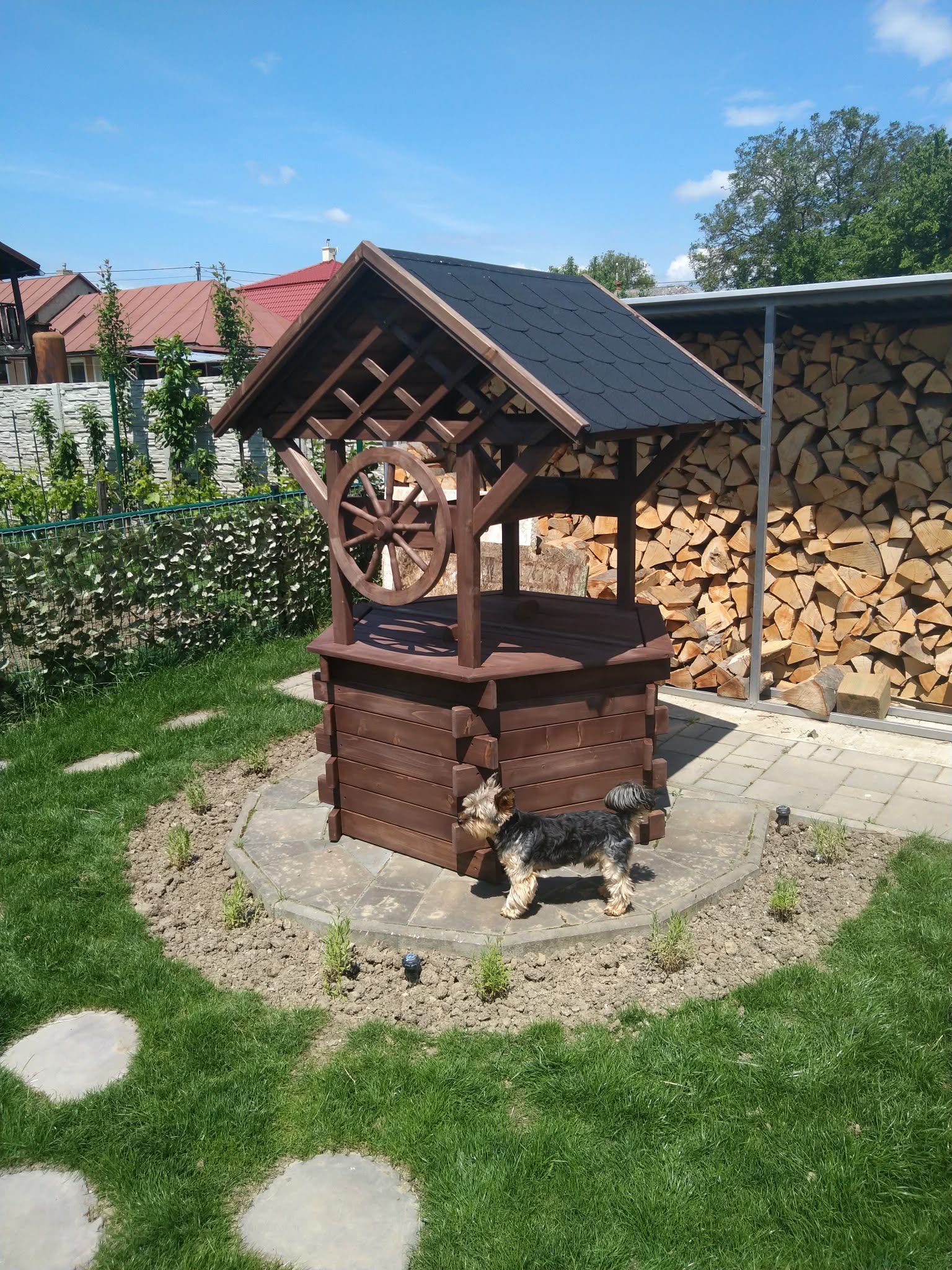 Studňa